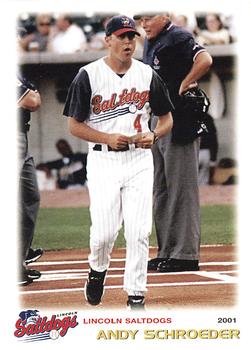 2001 Grandstand Lincoln Saltdogs #NNO Andy Schroeder Front