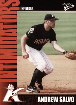 2003 MultiAd Kannapolis Intimidators #31 Andrew Salvo Front