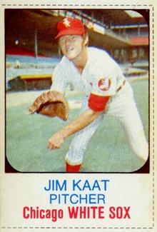 1975 Hostess Twinkies #110 Jim Kaat Front