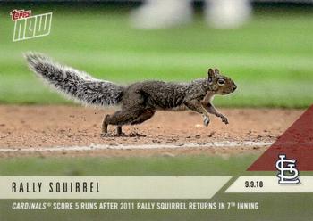 2018 Topps Now #709 Rally Squirrel Front