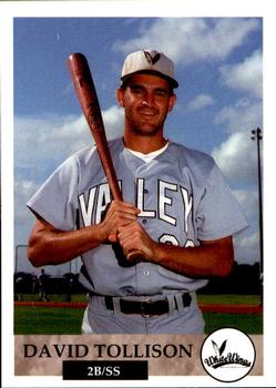 1994 Collect-A-Sport Rio Grande Valley WhiteWings #25 David Tollison Front