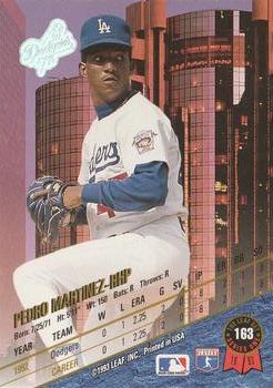 1993 Leaf #163 Pedro Martinez Back