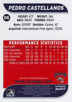 2021 Choice Portland Sea Dogs #06 Pedro Castellanos Back