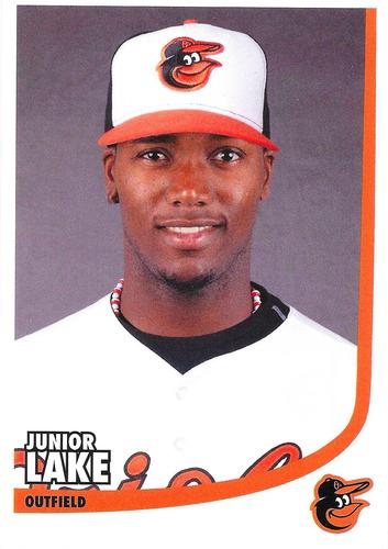 2015 Baltimore Orioles Photocards #NNO Junior Lake Front