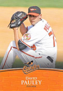 2009 Baltimore Orioles Photocards #NNO David Pauley Front