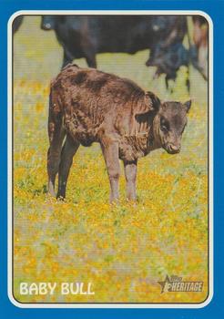 2024 Topps Heritage - 1975 Topps Zoo's Who Stick-Ons Blue #75Z-19 Baby Bull Front