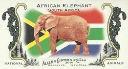 2010 Topps Allen & Ginter - Mini National Animals #NA13 African Elephant / South Africa Front