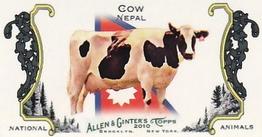 2010 Topps Allen & Ginter - Mini National Animals #NA5 Cow / Nepal Front