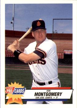 1993 Fleer ProCards #19 Don Montgomery Front