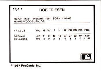 1987 ProCards #1317 Rob Friesen Back