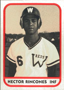 1981 TCMA Waterbury Reds #16 Hector Rincones Front