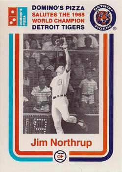 1988 Domino's Detroit Tigers #NNO Jim Northrup Front