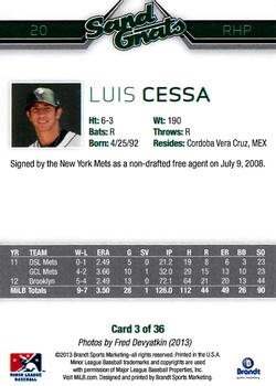 2013 Brandt Savannah Sand Gnats #3 Luis Cessa Back