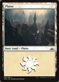 2018 Magic the Gathering Guilds of Ravnica #260 Plains Front