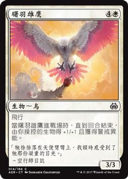 2017 Magic the Gathering Aether Revolt Chinese Traditional #14 曙羽雄鷹 Front