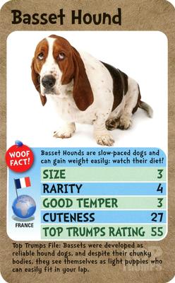 2019 Top Trumps Pooches #NNO Basset Hound Front