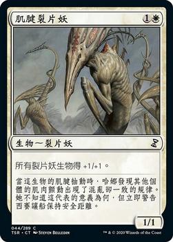 2021 Magic The Gathering Time Spiral Remastered (Chinese Traditional) #44 肌腱裂片妖 Front
