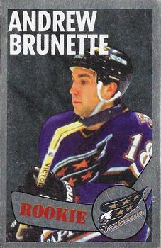 1996-97 Panini Stickers #304 Andrew Brunette  Front