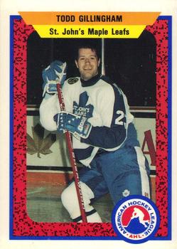 1991-92 ProCards AHL/IHL/CoHL #351 Todd Gillingham Front