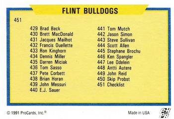 Flint Hockey: Flint Bulldogs (1991-93)