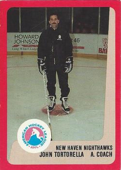 Lot Detail - 1986-88 Brian Wilks New Haven Nighthawks Game Worn