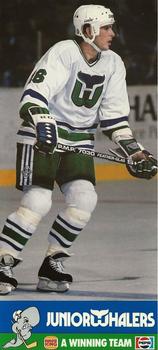 1987-88 Junior Whalers/Burger King/Pepsi Hartford Whalers #NNO Sylvain Turgeon Front