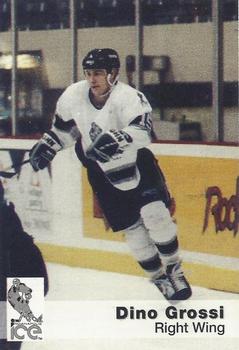 1993-94 Indianapolis Ice (IHL) #10 Dino Grossi Front