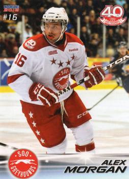 2011-12 Choice Sault Ste. Marie Greyhounds (OHL) #13 Alex Morgan Front