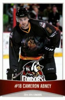2014-15 Bakersfield Condors (ECHL) #NNO Cameron Abney Front