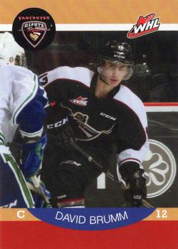 2014-15 Vancouver Giants (WHL) #NNO David Brumm Front