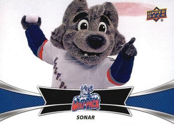 2016-17 Upper Deck AHL Team Mascots #TM18 Hammy Hog Rockford IceHogs  Official American Hockey League