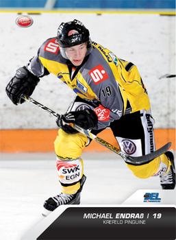 2009-10 Playercards Hauptserie (DEL) #315 Michael Endrass Front