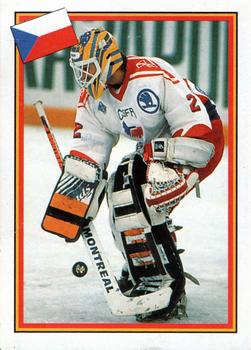 1993 Semic Hockey VM/Jaakiekon MM (Swedish/Finnish) Stickers #89 Petr Briza Front