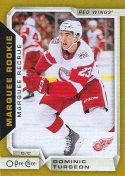 2018-19 O-Pee-Chee - Gold Border Glossy #546 Dominic Turgeon Front