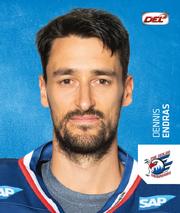 2018-19 Playercards Stickers (DEL) #213 Dennis Endras Front