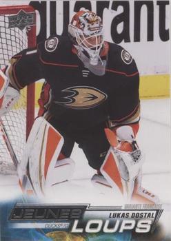 2022-23 Upper Deck - French (Variante Française) #203 Lukas Dostal Front