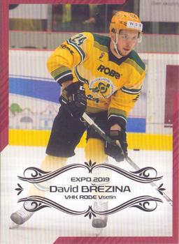 2019 Premium Cards Brno Expo #EXPO043 David Brezina Front