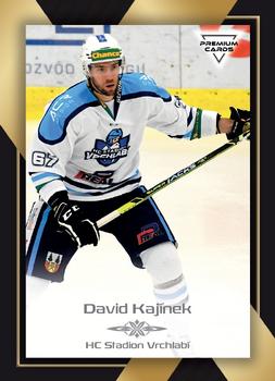 2020-21 Premium Cards CHANCE liga #271 David Kajinek Front