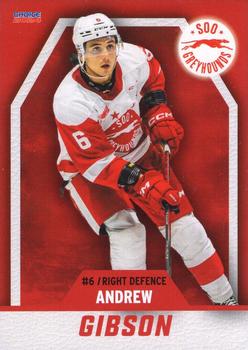 2023-24 Choice Sault Ste. Marie Greyhounds (OHL) #01 Andrew Gibson Front