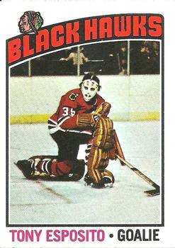 1976-77 Topps #100 Tony Esposito Front