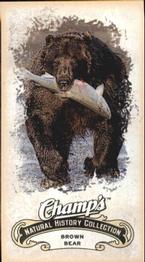 2008-09 Upper Deck Champ's - Mini #C324 Brown Bear Front