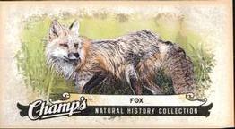 2008-09 Upper Deck Champ's - Mini #C363 Fox Front