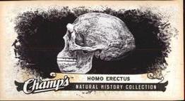 2008-09 Upper Deck Champ's - Mini #C464 Homo Erectus Front