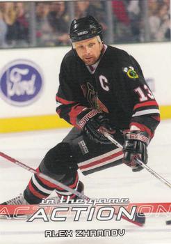 2003-04 In The Game Action #171 Alexei Zhamnov Front