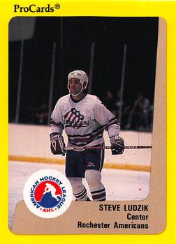 1989-90 ProCards AHL #271 Steve Ludzik Front