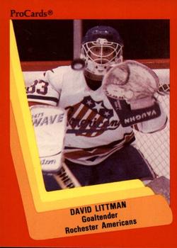 1990-91 ProCards AHL/IHL #269 David Littman Front