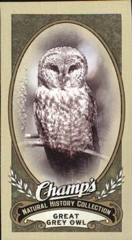 2009-10 Upper Deck Champ's #498 Great Grey Owl Front