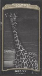 2017 Upper Deck Goodwin Champions - Blank Back Mini #NNO Giraffe Front