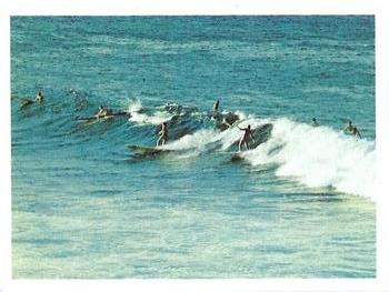 1973 Weet-Bix Spectacular Sports #11 Surfing Front