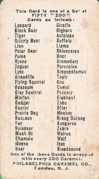 1909 Philadelphia Caramel Zoo (E28) #NNO Grizzly Bear Back